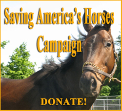 Donate to this Campaign!
